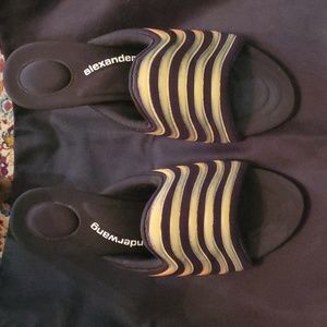 Alexander Wang shoes